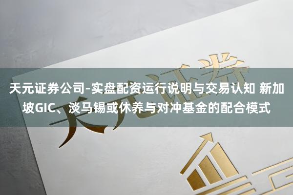 天元证券公司-实盘配资运行说明与交易认知 新加坡GIC、淡马锡或休养与对冲基金的配合模式